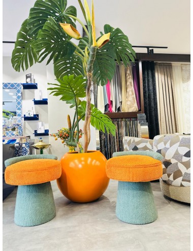 ÇİÇEK DEVE TABANI