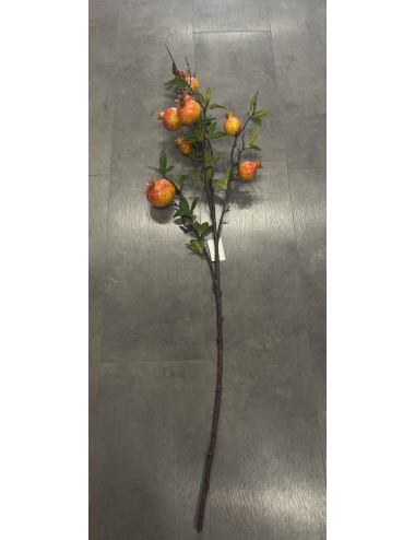 ÇİÇEK NAR AĞAÇ DALI