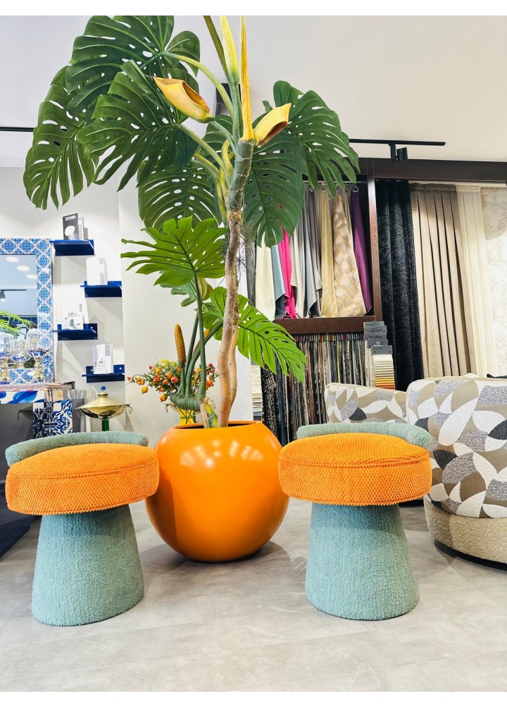 TEMARİ - MANTAR PUF SND