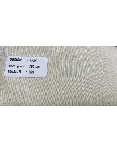 ICON-009