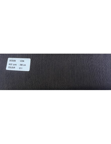 ICON-011