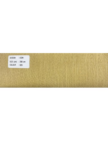 ICON-020