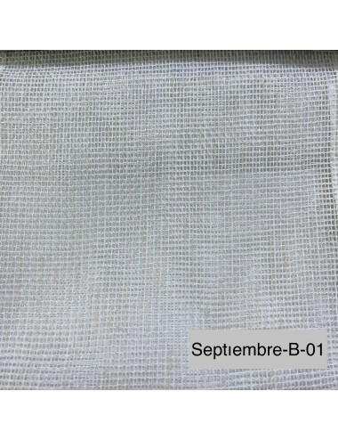 SEPTIEMBRE-B001